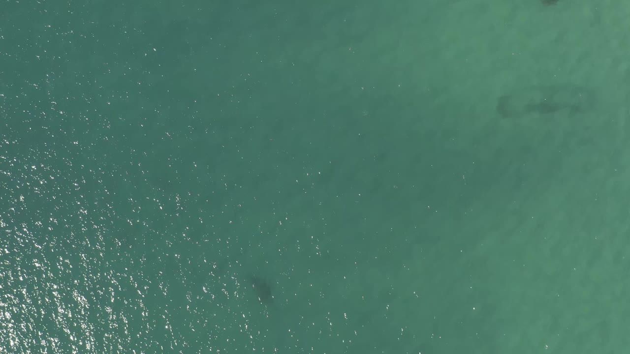 Overhead Baja California Sur water frame with a soft green seabed, muted surface sparkle, and a small darker rock shape near the lower part of the view, no visible people.