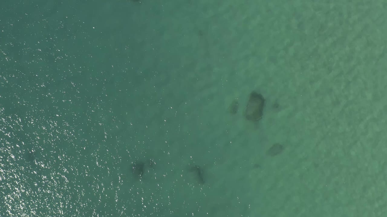 Aerial frame of green-blue Baja California Sur water with several faint dark shapes below the surface, smoother ripples across the center, and no visible people.