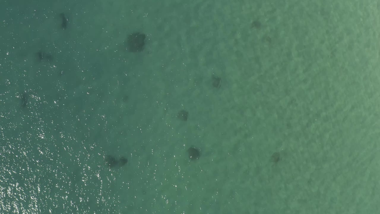 Aerial green-blue water with sun glitter and submerged dark shapes