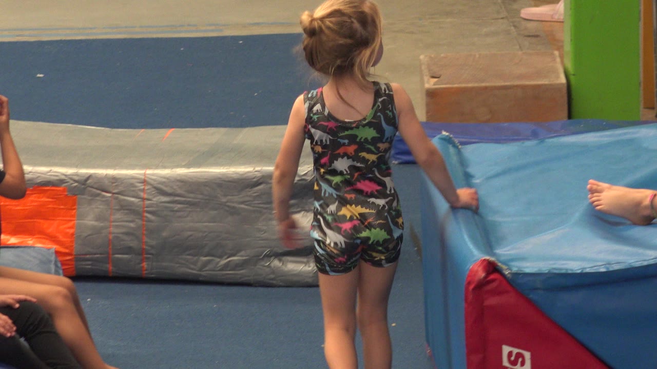 Young girl seen from behind beside blue gym mats.