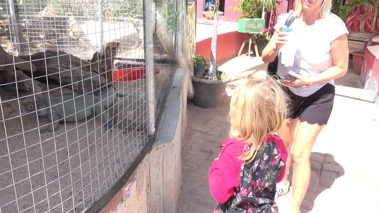 Woman holding items stands near a child by the lizard enclosure.