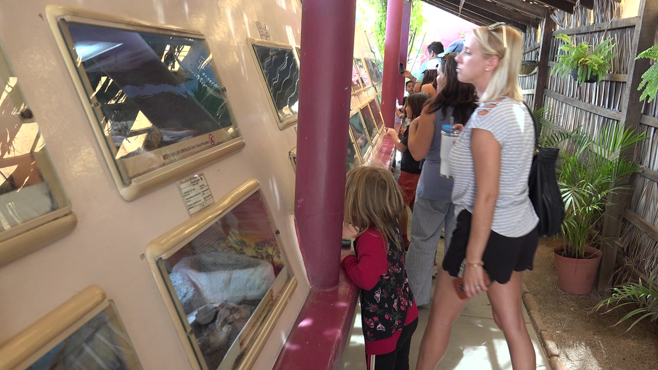 At a Cabo San Lucas zoo, a woman and young girl stand near glass snake enclosures while other visitors wait in the narrow walkway behind them.