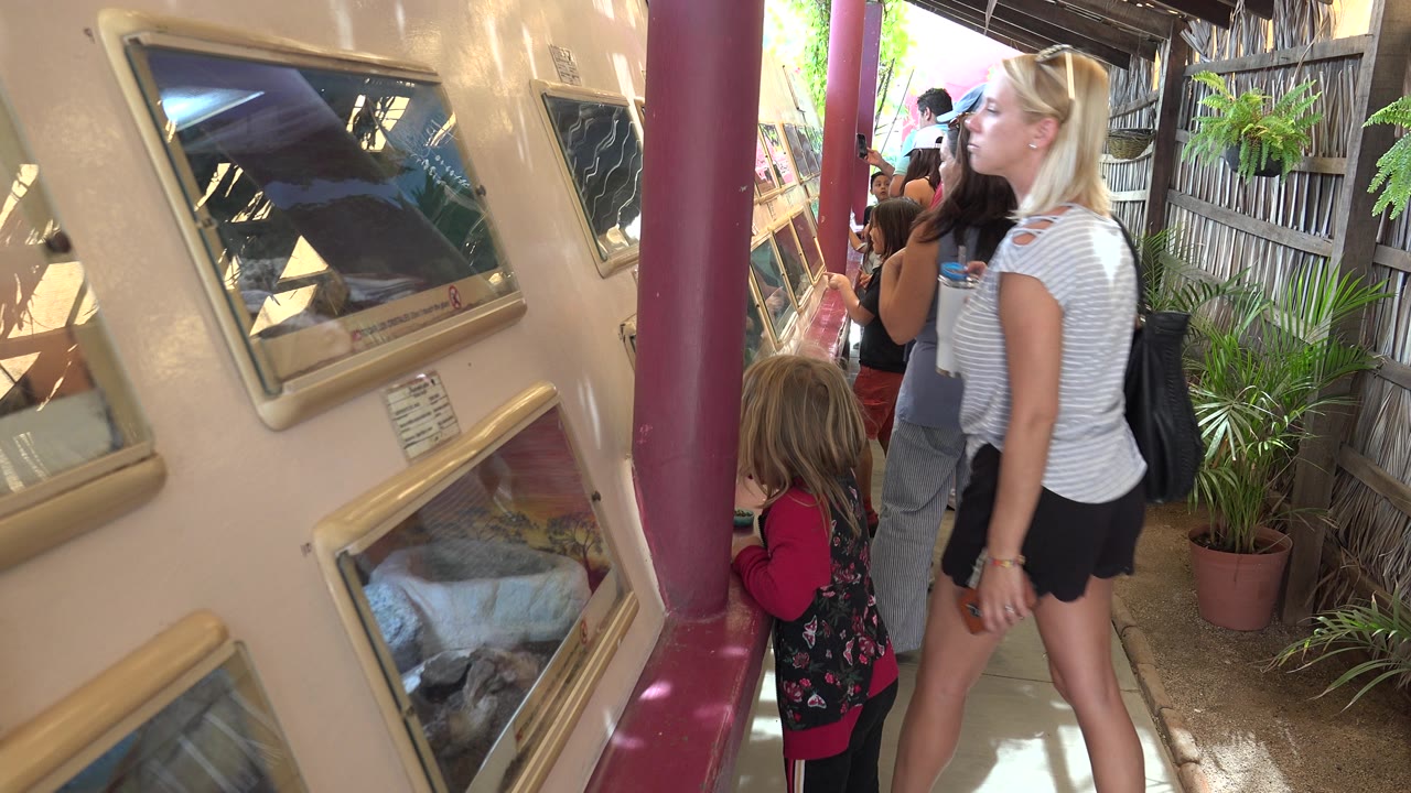 The mother and daughter remain beside the angled glass reptile displays as sunlight falls across the beige enclosure wall and the visitor path.