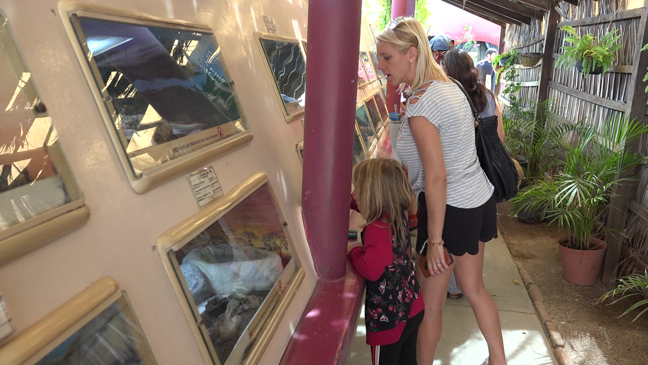 Child looking toward zoo enclosure with mother nearby