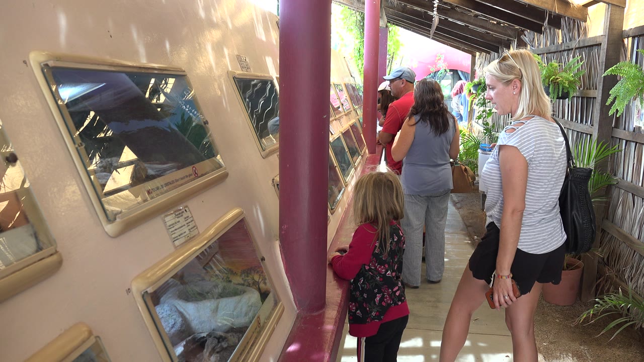 At 0:00 in Cabo San Lucas, a woman in a white striped shirt stands near a young girl as framed paintings line the left wall of a narrow covered walkway.