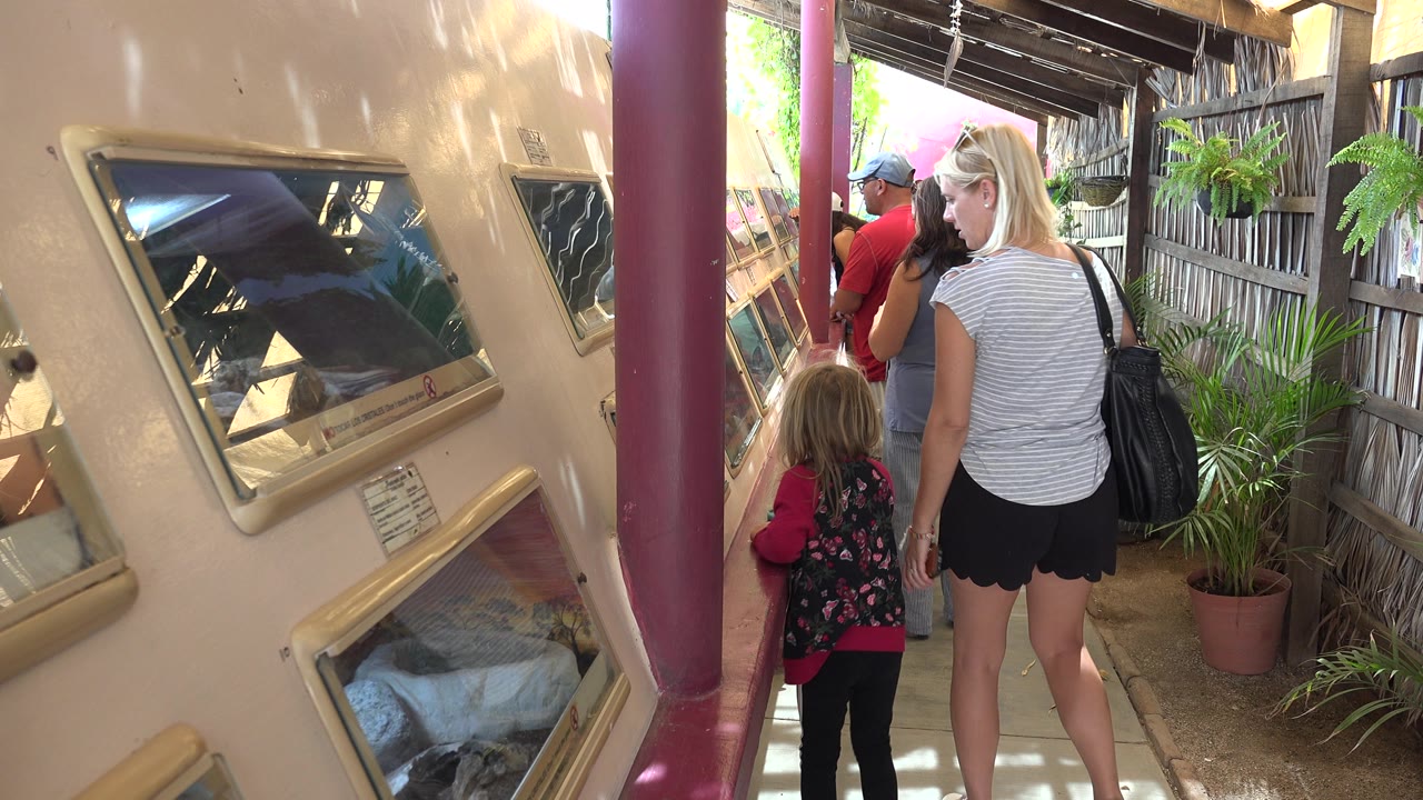 Woman stands with a black shoulder bag while a child faces the paintings.