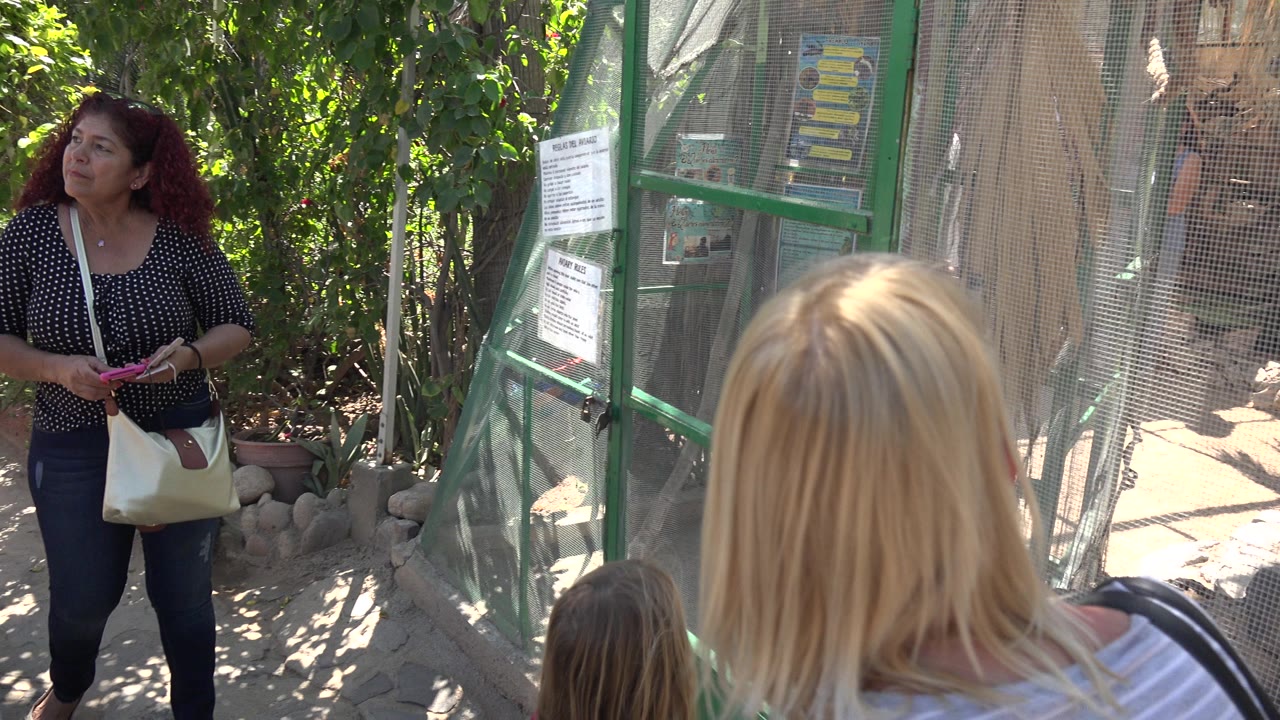 At 0:00 in Cabo San Lucas, a woman stands beside a green mesh enclosure entrance while a blonde visitor and child are partly visible from behind.