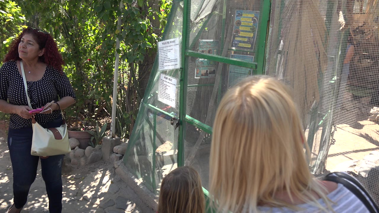 At 0:01 in Cabo San Lucas, the woman remains near the green-framed doorway as the foreground adult and child face the mesh enclosure.