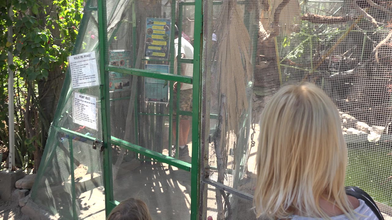 Blonde visitor and child looking toward a mesh enclosure entrance.