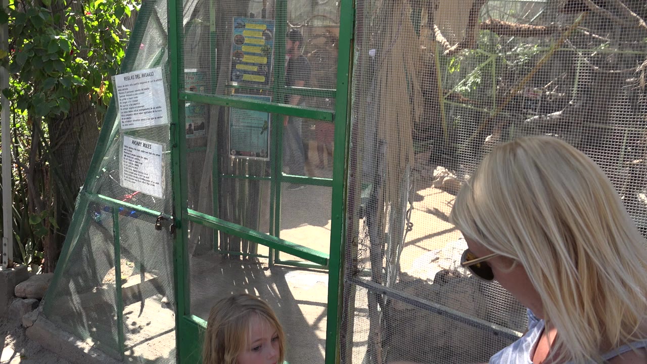 At a Cabo San Lucas zoo enclosure, a blonde child and an adult stand near green mesh fencing with posted signs and rocks visible inside.