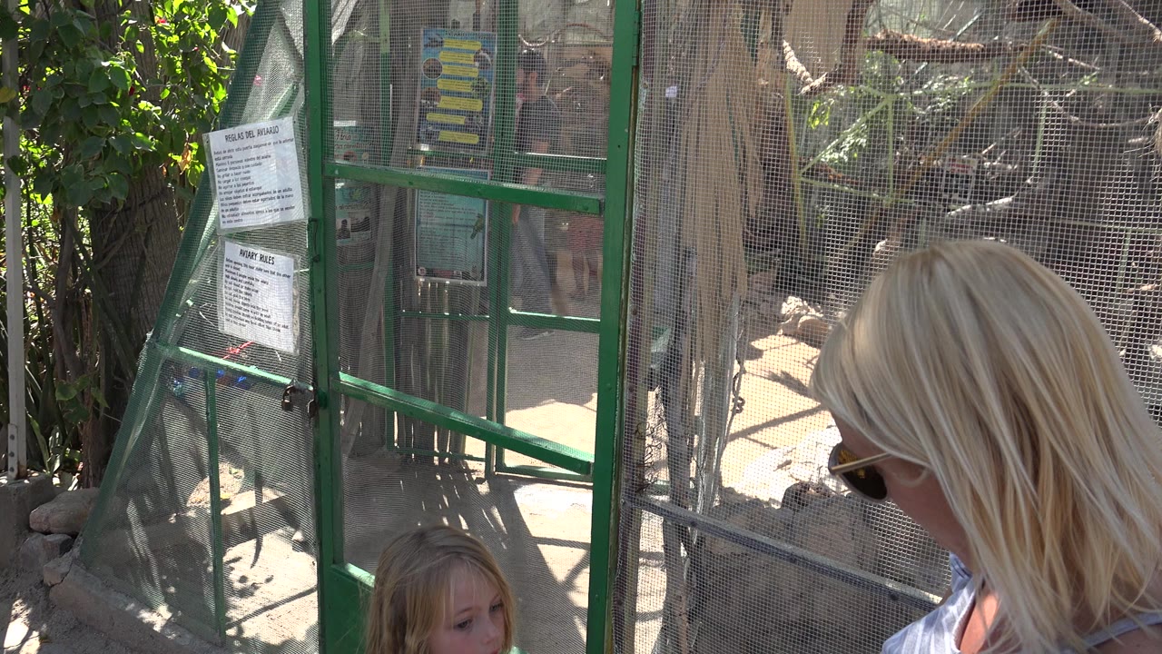 A blonde adult in sunglasses and a child are beside the green gate of a Cabo San Lucas animal enclosure with warning signs and sunlit ground behind the mesh.