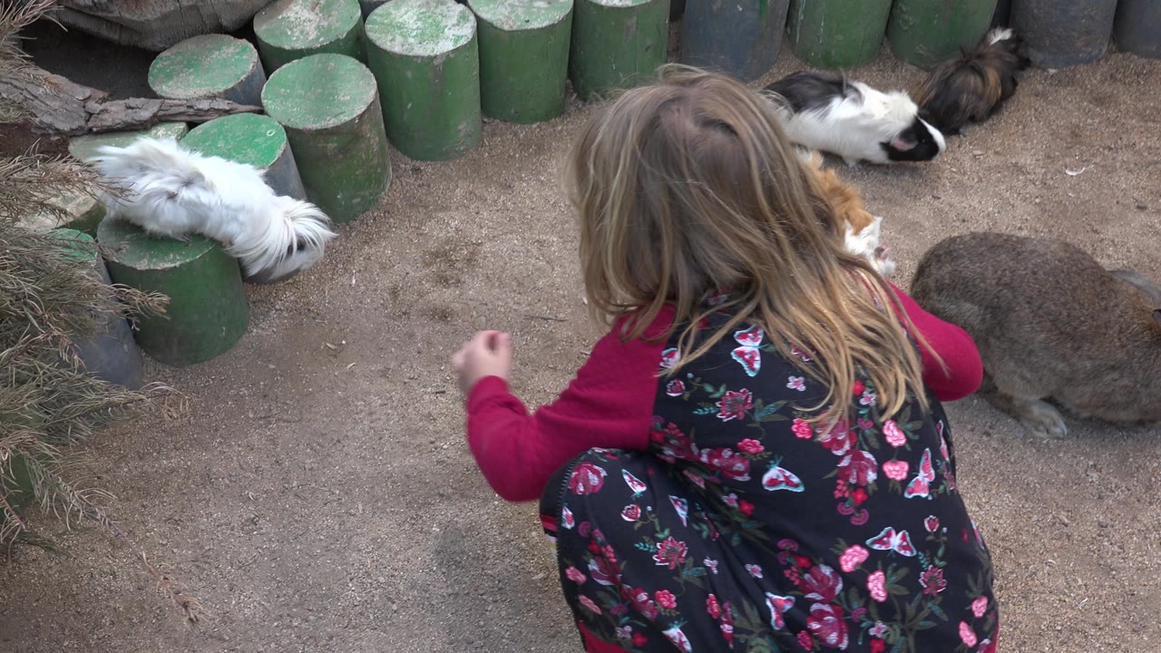 Child crouched beside several small animals and green log edging.