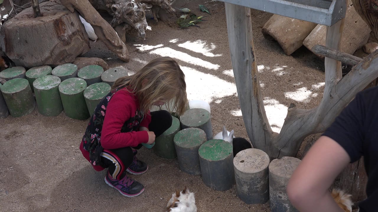 Girl reaches toward the ground near a bowl and logs.