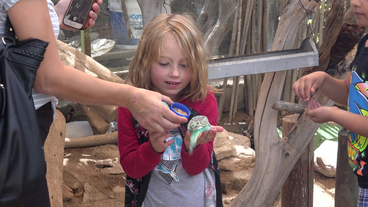 Young girl holds a small green bird while an adult offers food from a blue cup.