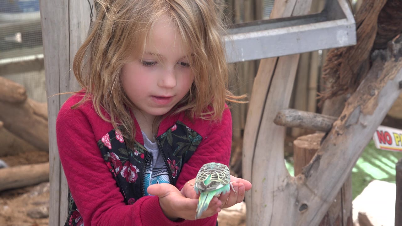 Young girl holds a small green-and-white bird in her hands.