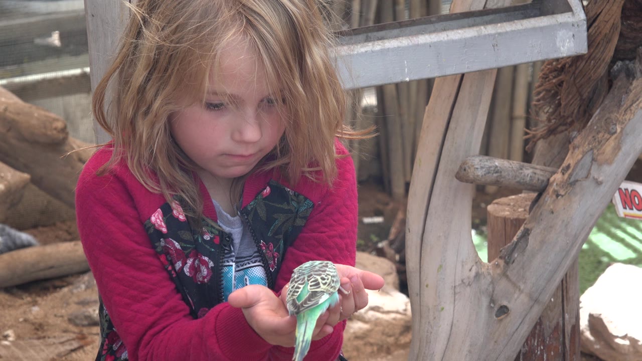 Blonde child holds a small blue-green bird in both hands.