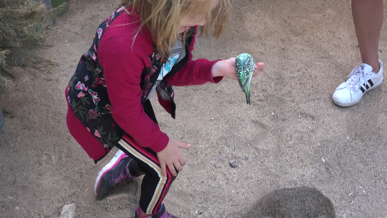 In Cabo San Lucas, Mexico, the girl remains crouched with her palm extended toward a small bird, while a cropped adult leg and white sneaker stand nearby on the sandy surface.