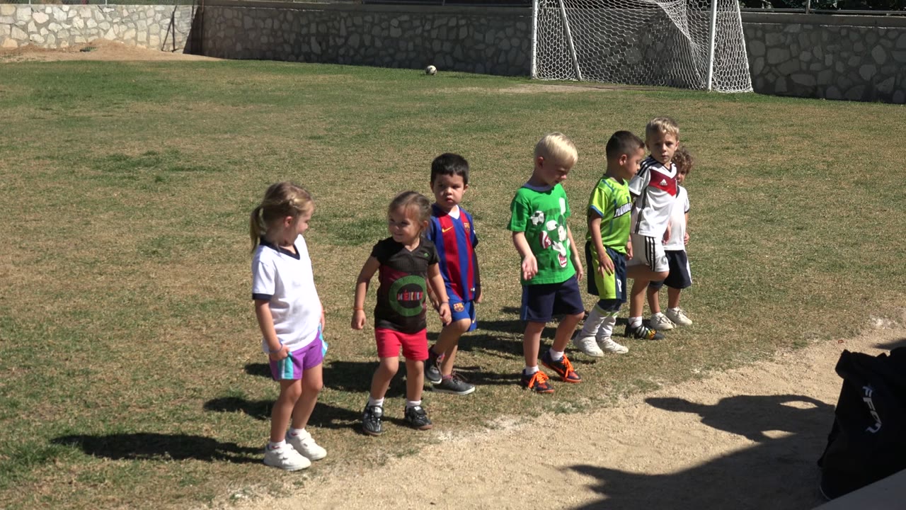 Young children standing on grass near a soccer goal.