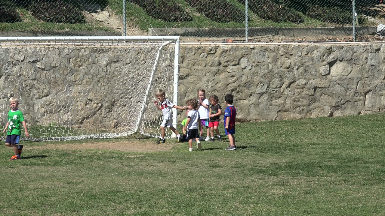 Children playing soccer near a goal on a grass field.