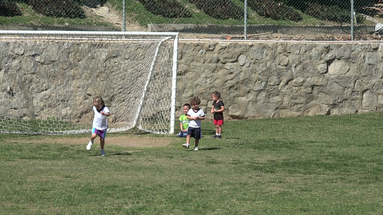 Children running near a small soccer goal on a grass field