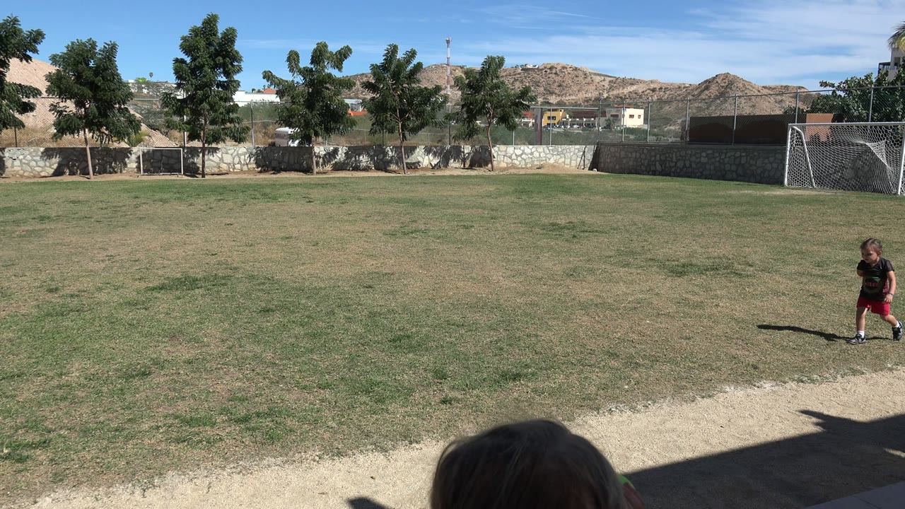 Toddler standing on an empty soccer field with a goal in the background.