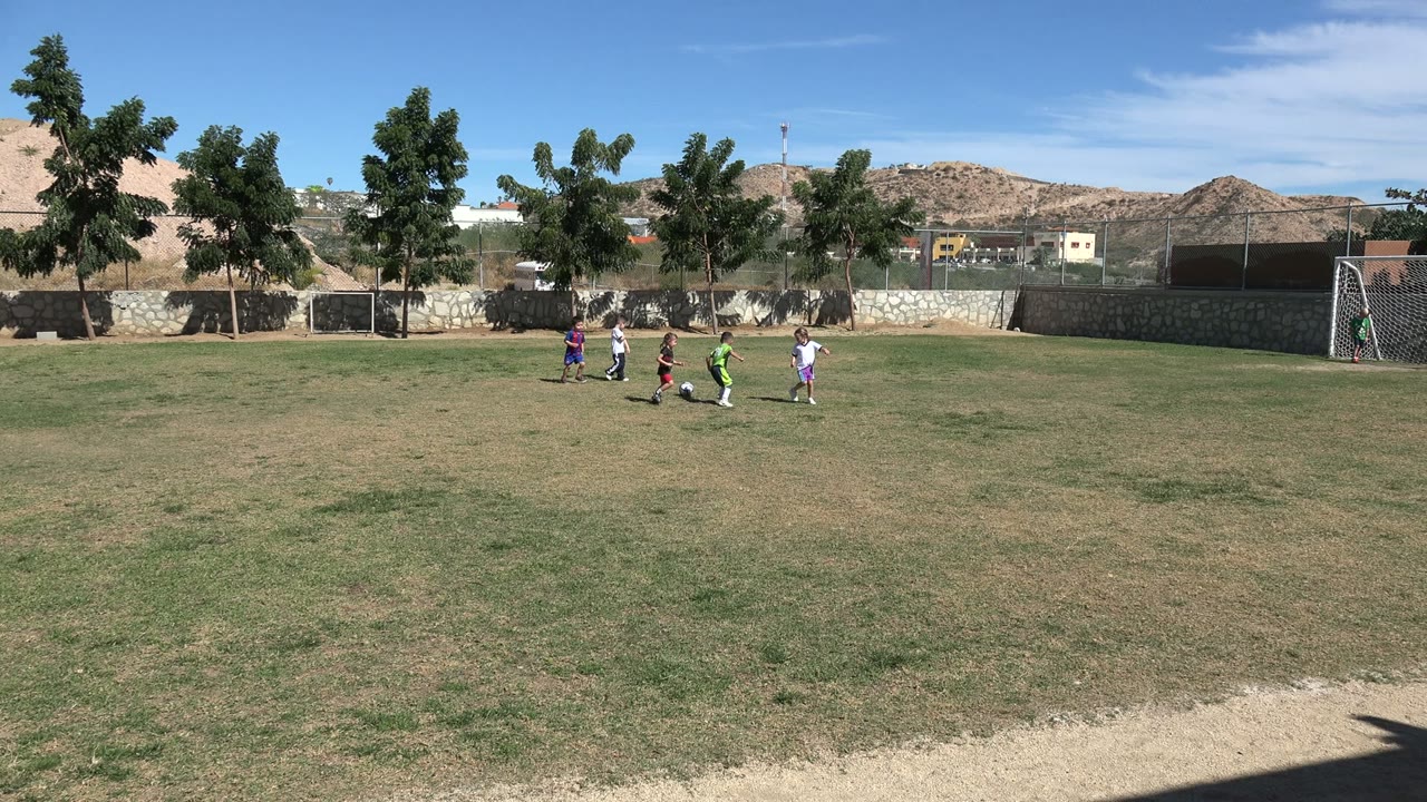 Children playing soccer on a wide grass field near a goal.