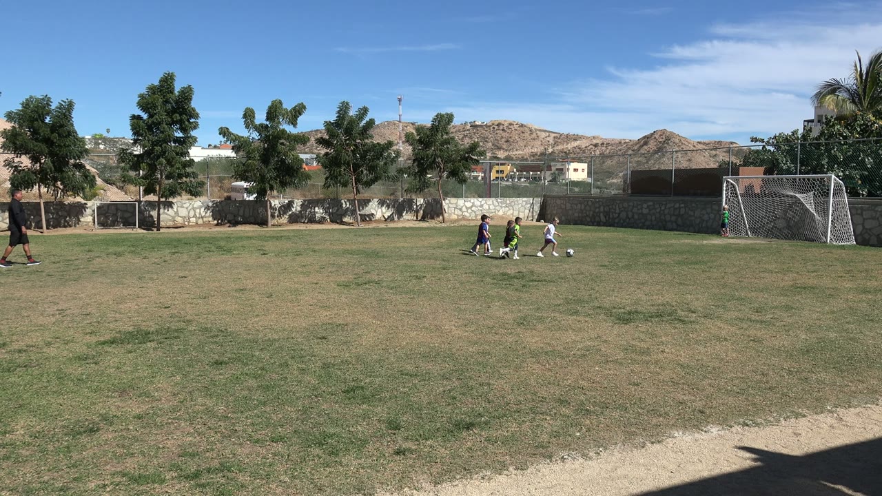 Children playing football on a sunny grass field near a goal.