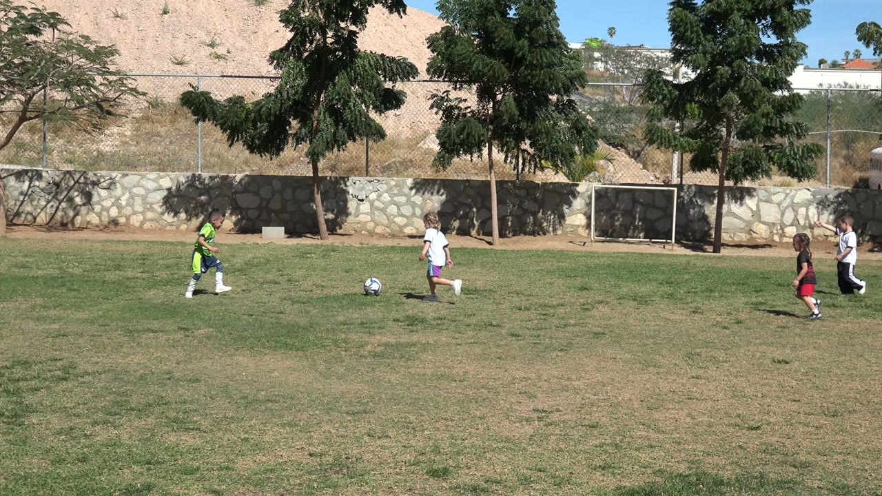 Children playing soccer on a grass field near a small goal.