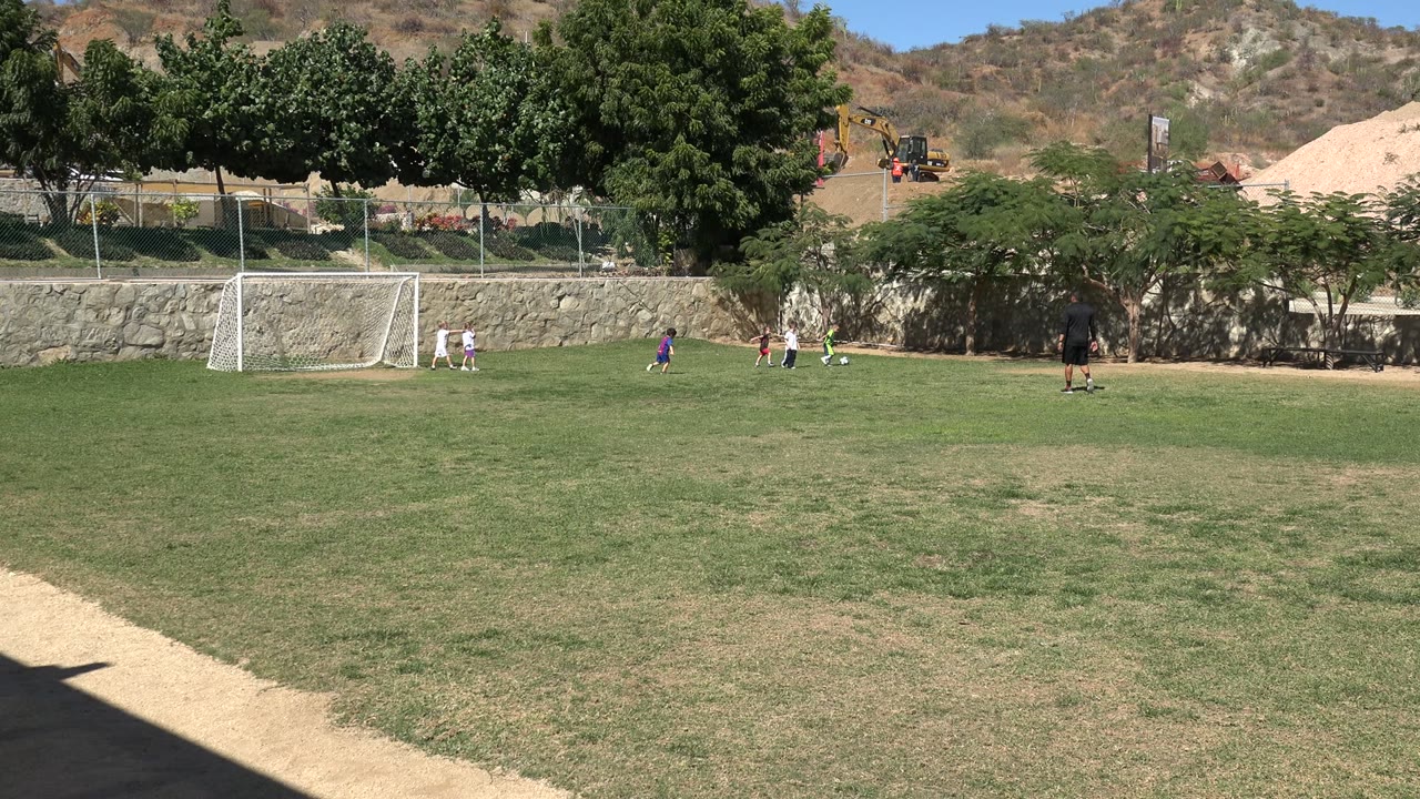 Wide soccer field with children near a white goal.