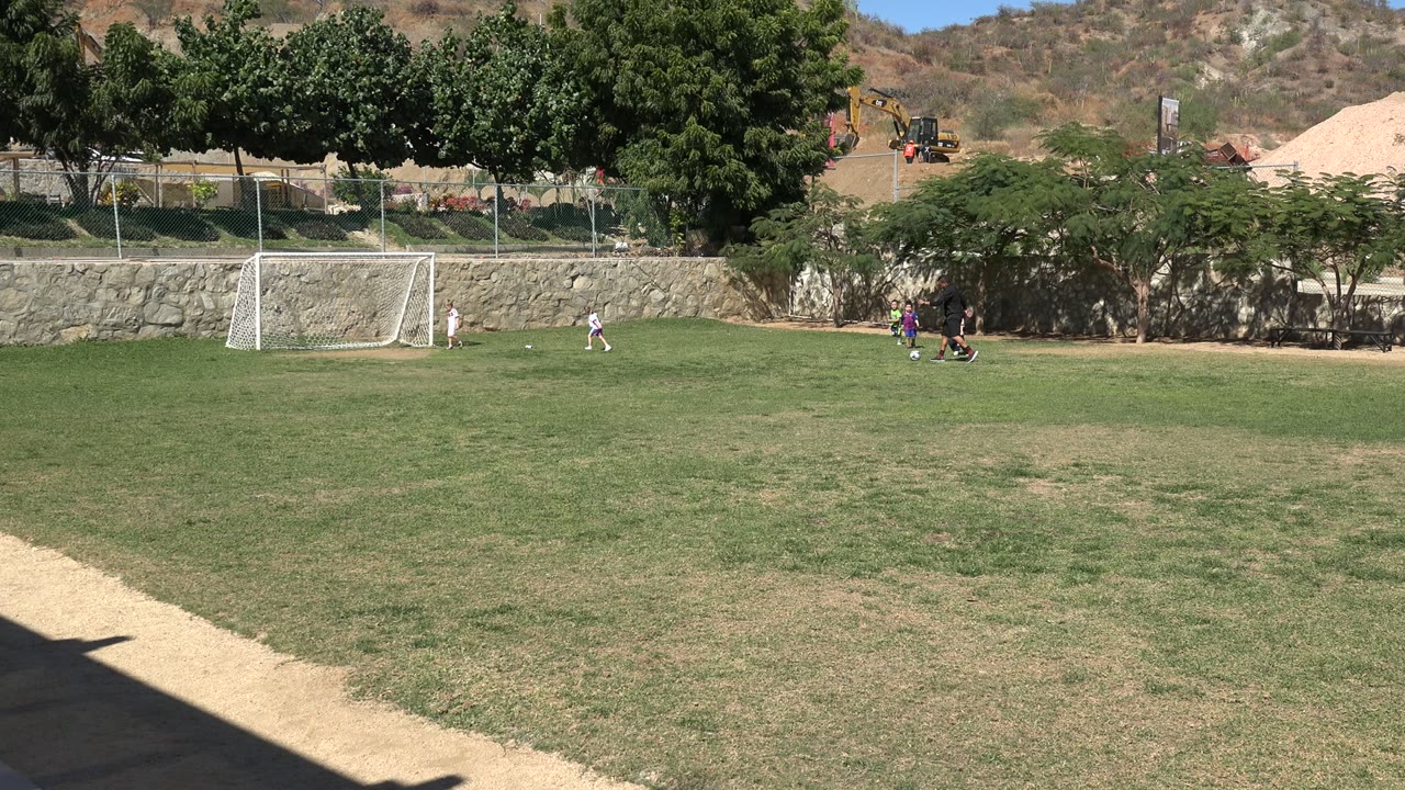 Wide soccer field with children, coach, ball, and goal in bright sun.