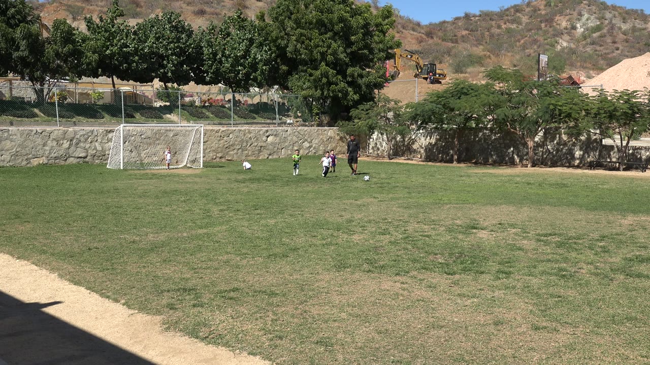 Children play soccer near a white goal on a grassy field.