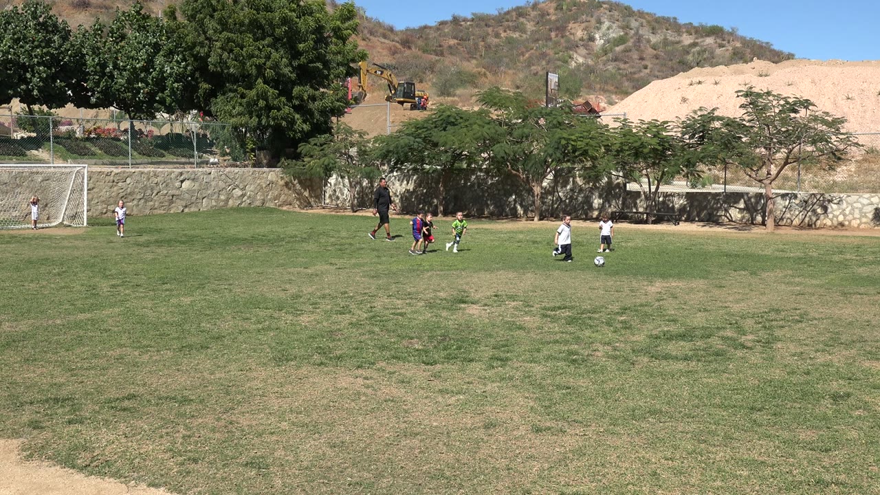Children play soccer on a grassy field near a small goal and trees.