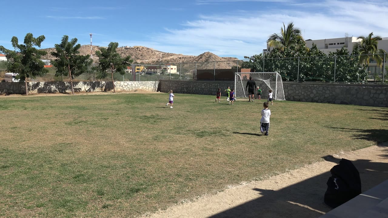 Children playing football near a goal on a sunny grass field.