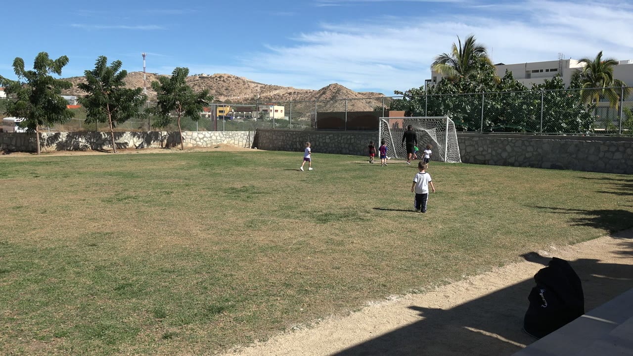 A small group of children stands and moves around the goal mouth on a Los Cabos grass field, with palms, buildings, and hills in the background.