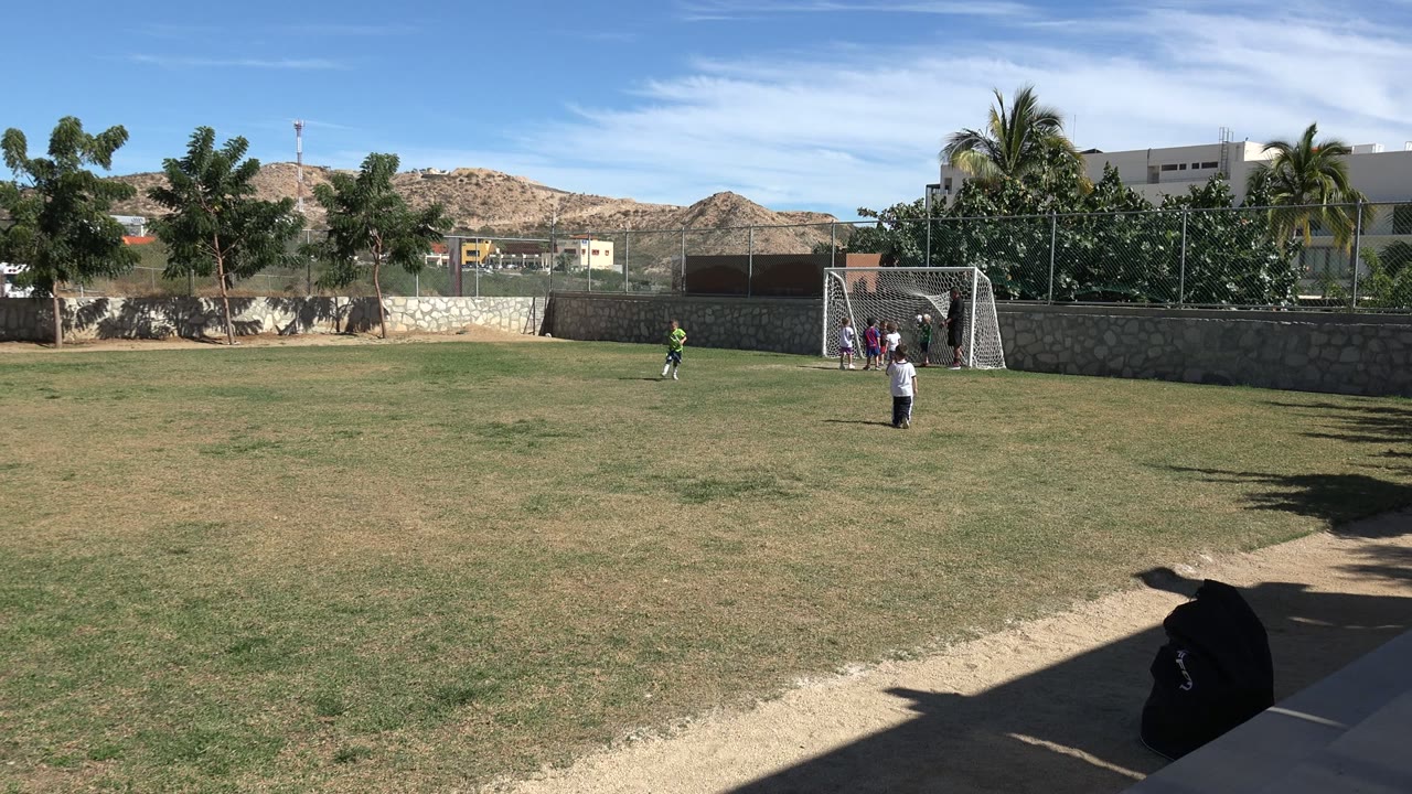 Children playing near a soccer goal on a sunny field.