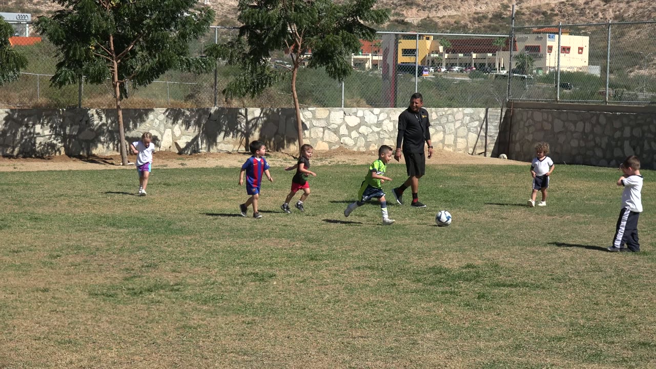 Children and an adult on a grass soccer field with a ball nearby.