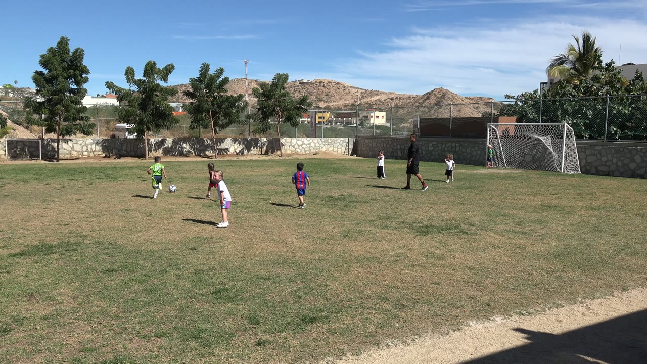 Children playing soccer on a grass field near a goal.