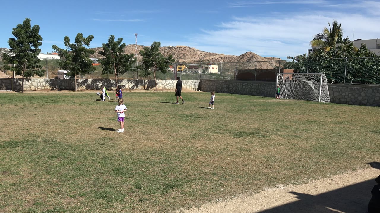 Wide view of children playing soccer on a grassy field in Los Cabos, Mexico, with an adult standing nearby and a goal at the right edge.