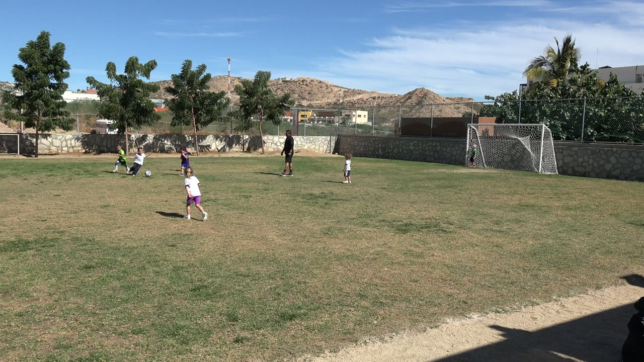 Children gather around the soccer ball on the grass in Los Cabos, Mexico, while an adult in dark clothing stands farther back near the middle of the field.