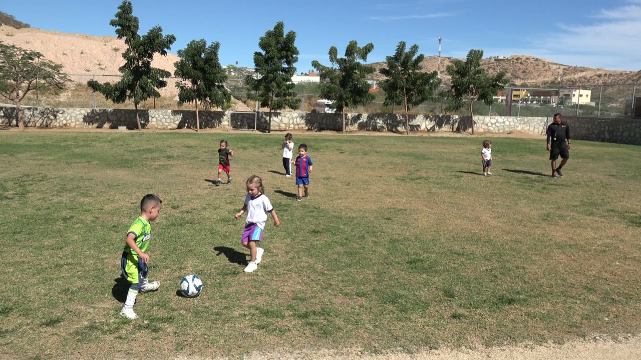 Children spread across a soccer field while one child controls the ball.