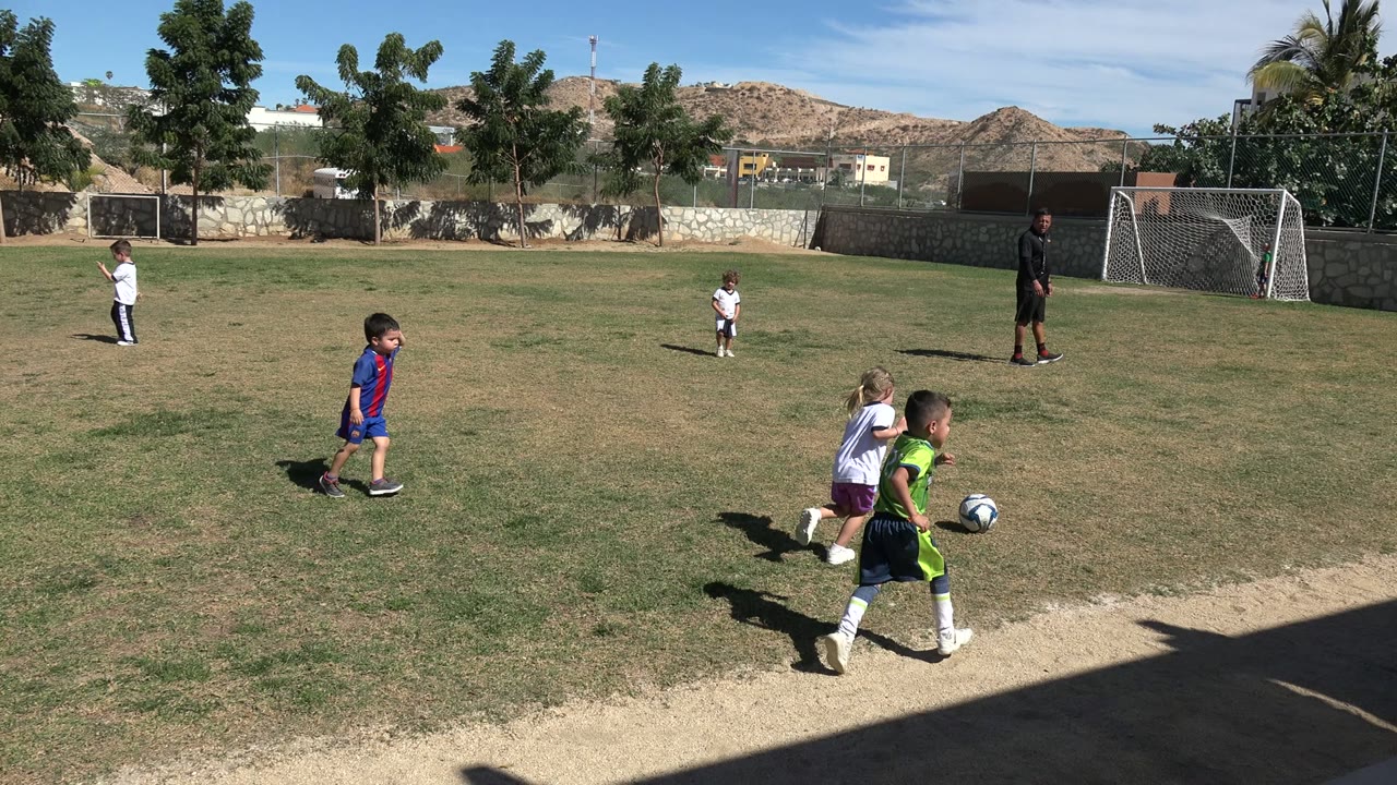 Children playing soccer on a sunny grass field with a goal behind them.