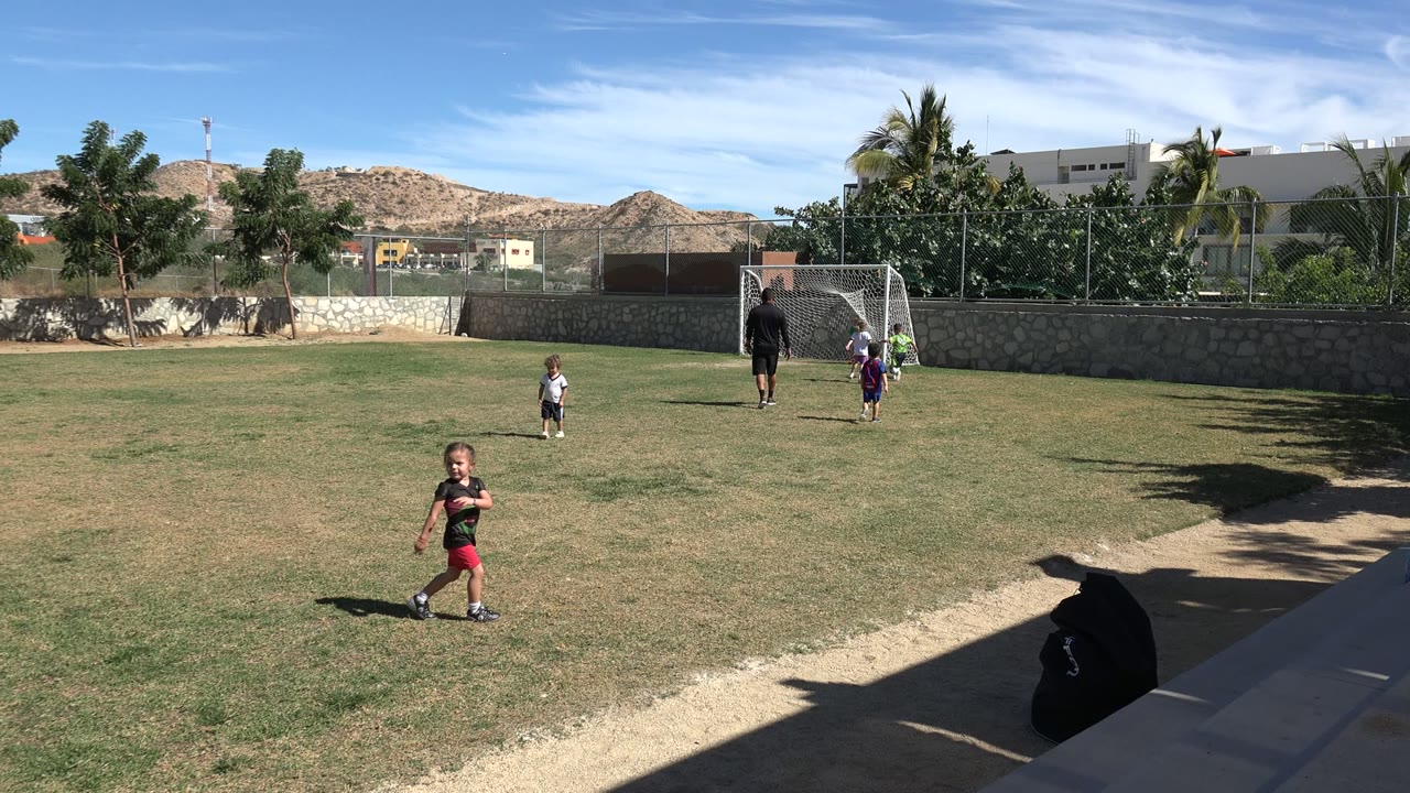 Children and an adult on a sunny outdoor soccer field near a goal.