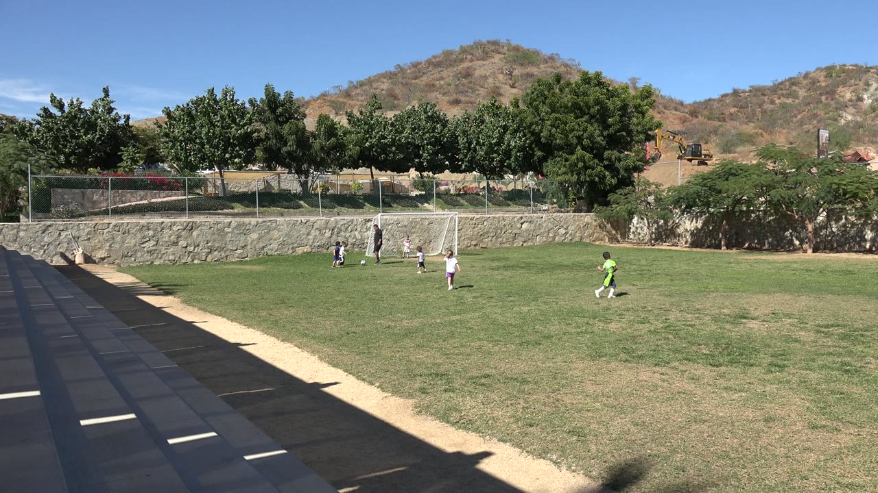 Children and an adult near a soccer goal on a sunny field.
