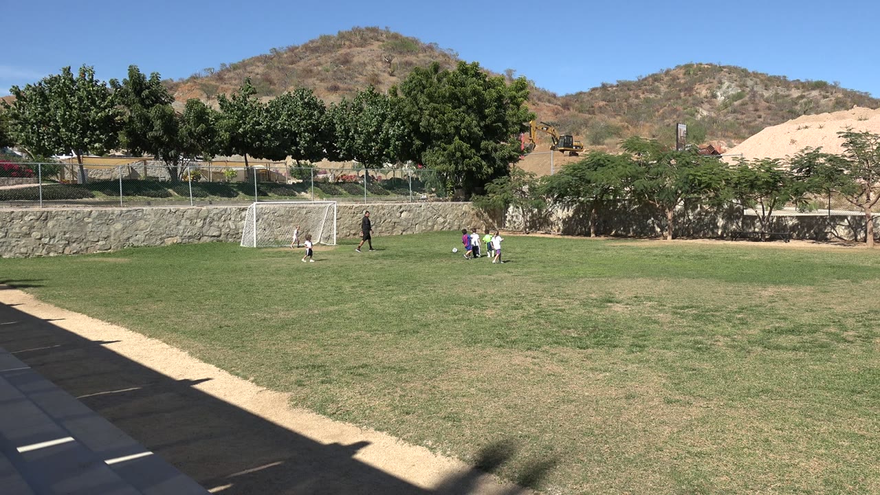 Children and an adult near a soccer goal on a sunny grass field.