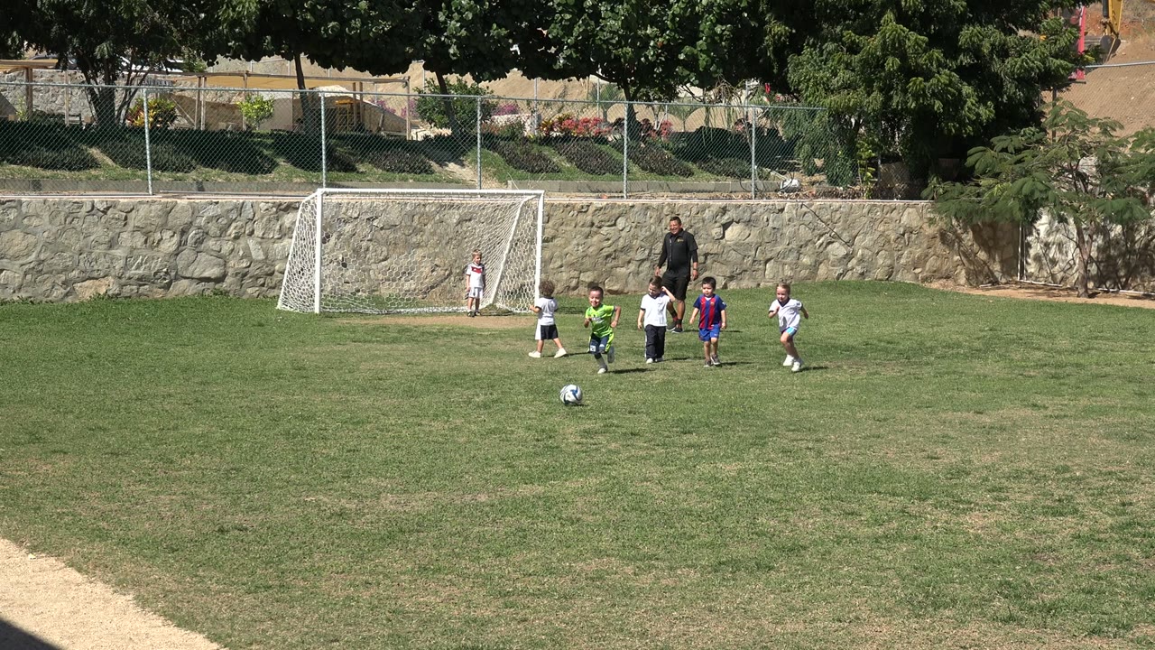 Children playing soccer on a grass field with small goals in the background.