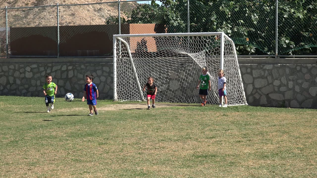 Children play soccer in front of a goal on a grass field.