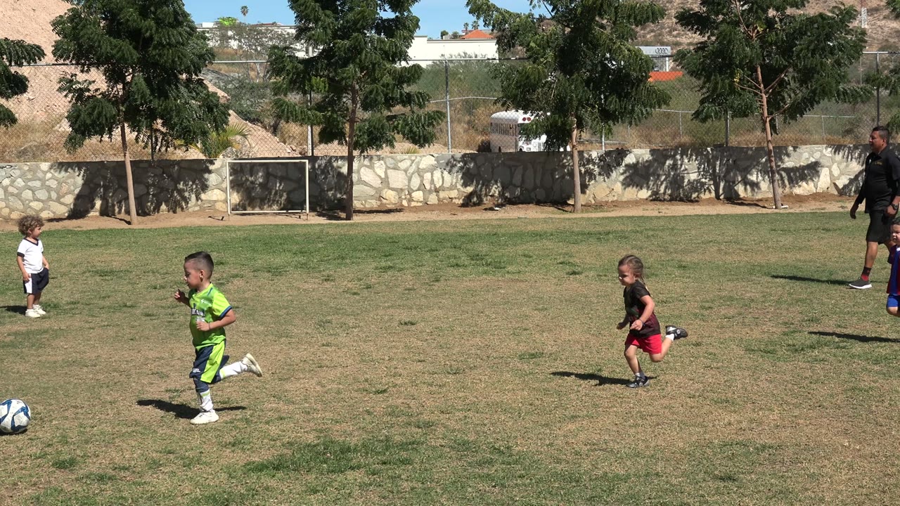 Children and an adult on a sunny soccer field.