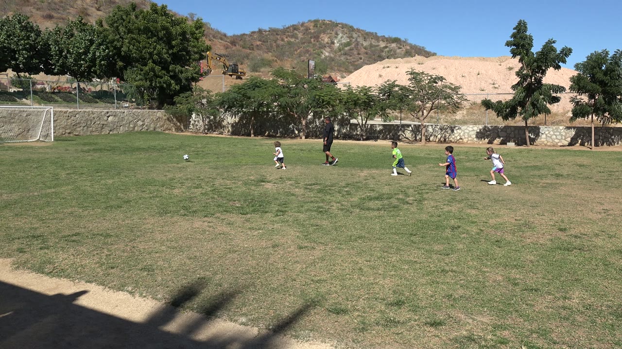 Young players move across a grass soccer field while an adult stands near the middle.