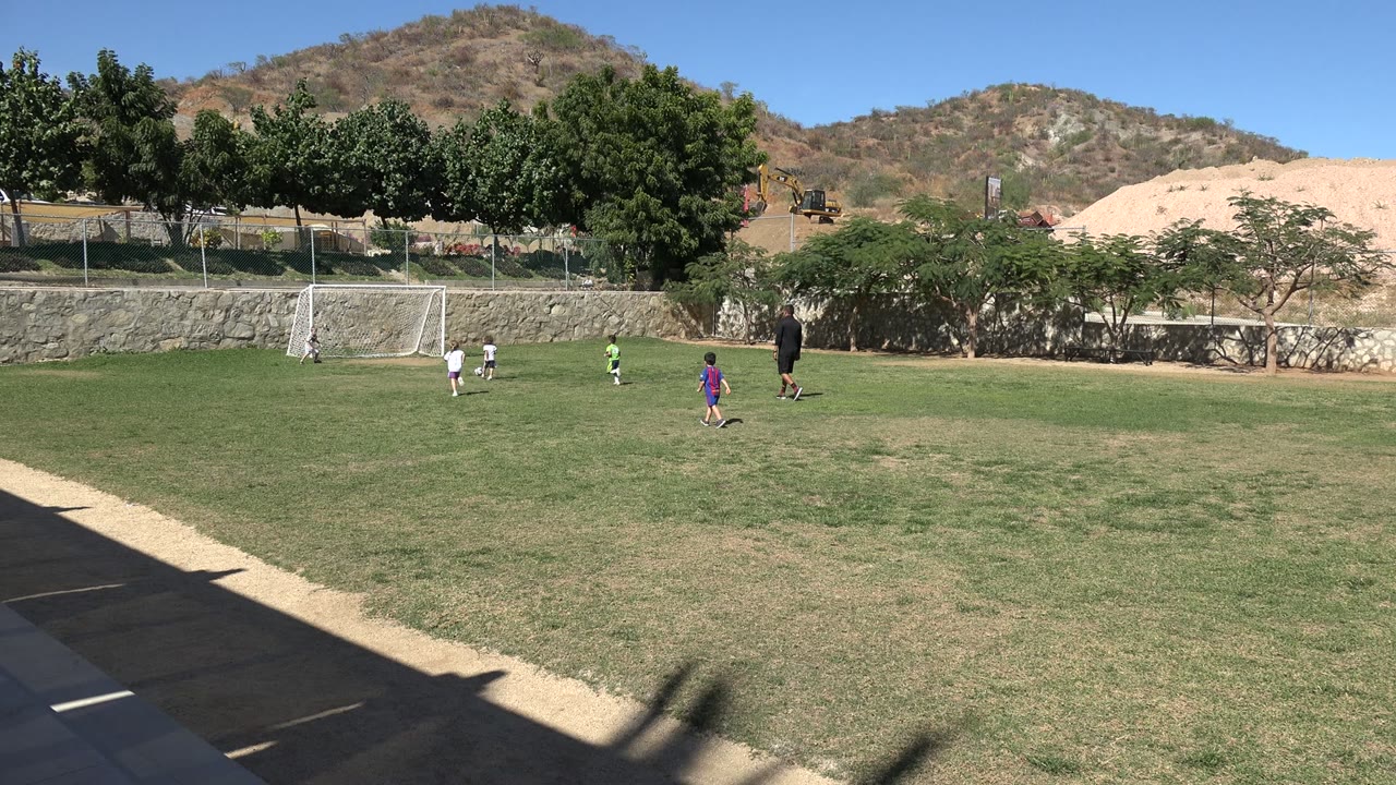 Children playing soccer near a white goal on a sunny field