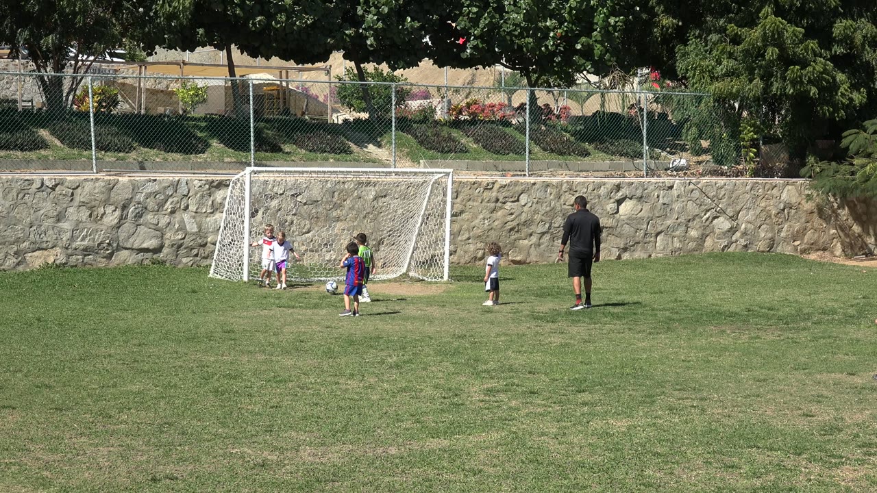 Children and an adult near a soccer goal on a grassy field.